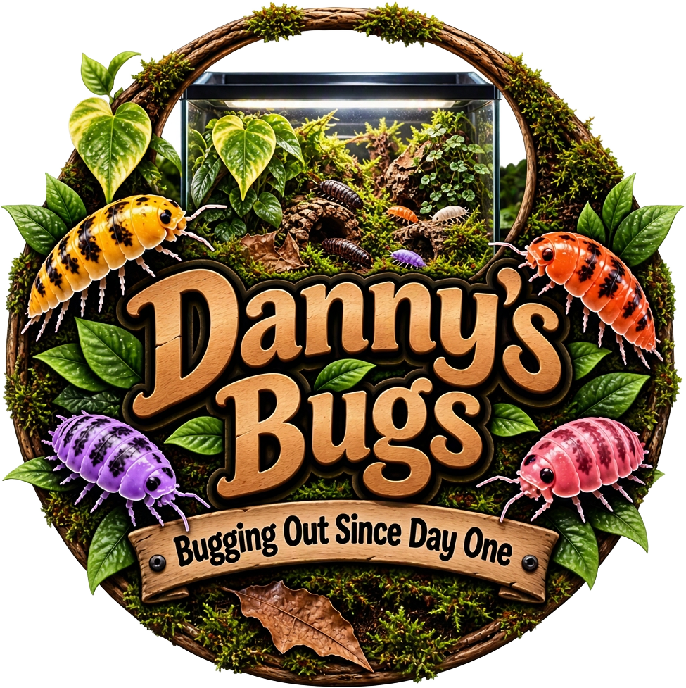 Danny’s Bugs